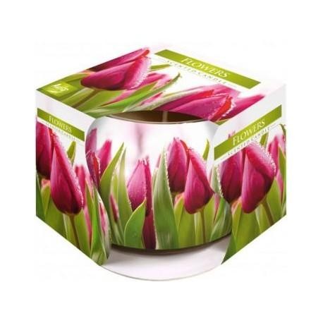 Svíčka ve skle Tulipán 100g Svíčka ve skle Tulipán 100g - Drogerie Osvěžovače a svíčky Svíčky vonné, čajové